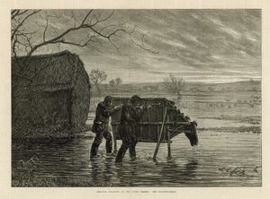 Chasse aux oiseaux sauvages sur la haute Tamise : Le cheval de traque