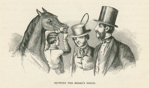 Montrer les dents du cheval (gravure)