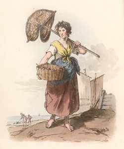Pêcheur de crevettes - English School