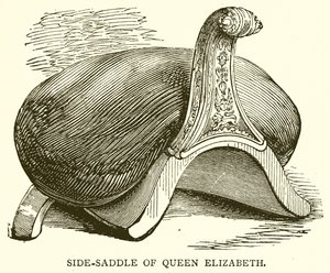 Selle de Reine Élisabeth - English School