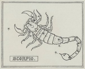 Signes du zodiaque : Scorpion (gravure)