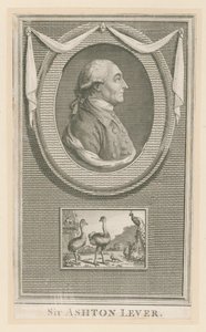 Sir Ashton Lever - English School