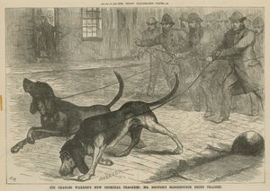 Les nouveaux traqueurs criminels de Sir Charles Warren : les chiens de sang de M. Brough en formation