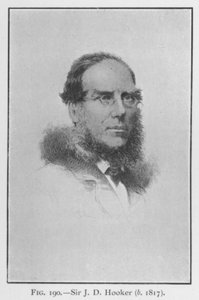 Sir Joseph Dalton Hooker (1817-1911), portrait - English School