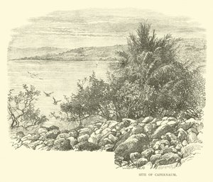 Site de Capharnaüm - English School