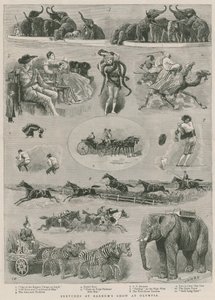 Croquis au spectacle de Barnum à Olympia, Londres - English School