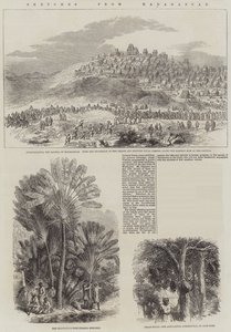 Croquis de Madagascar (gravure) - English School