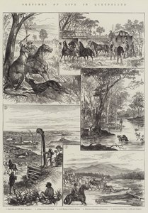 Esquisses de la vie dans le Queensland - English School