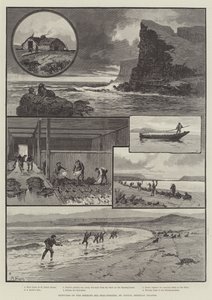 Croquis de la pêche au phoque en mer de Behring, Saint-Paul, Îles Pribylov - English School