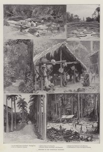 Croquis sur la frontière vénézuélienne - English School