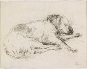 Chien endormi, c.1840 - English School
