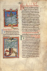 Sloane Ms 1975 fol.48 Le Basilic