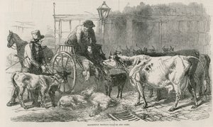 Marché de Smithfield - English School