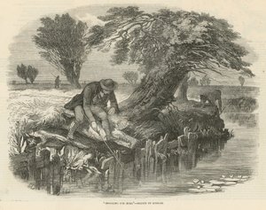 Pêche à l