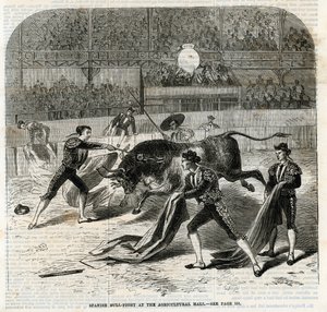 Corrida espagnole au Hall Agricole, Islington - English School