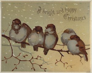 Moineaux perchés sur une branche dans la neige - English School