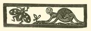 Araignée et mouche