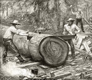 Bûcherons dans le Bush, c.1880, de 