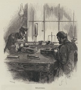 Fendage - English School