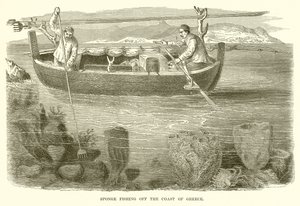 Pêche à l