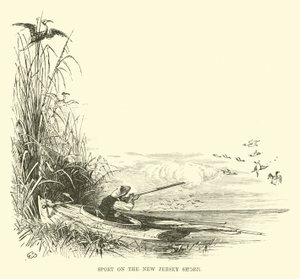 Sport sur la côte du New Jersey - English School