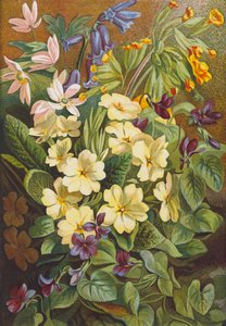 Fleurs de printemps (lithographie couleur) - English School