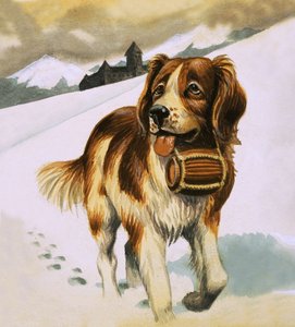 Chien de Saint-Bernard