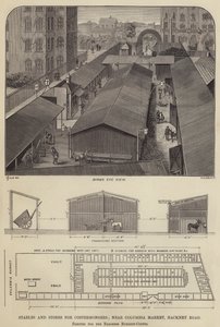 Écuries et magasins pour les costermongers, près du Columbia Market, Hackney Road, érigés pour la baronne Burdett-Coutts (gravure) - English School