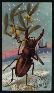 Scarabée portant du gui dans un paysage hivernal, carte de vœux de Noël - English School