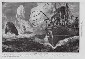 Bateau à vapeur utilisé comme baleinier (gravure) - English School
