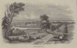 Strathfieldsaye - English School