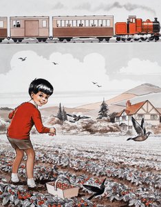 Cueillette de fraises - English School