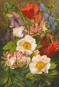 Fleurs d