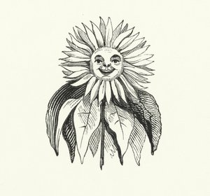 Tournesol - English School