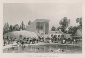 Jardins zoologiques du Surrey - English School