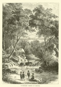 Pont suspendu à Bornéo - English School