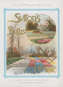 Bulbes de Sutton pour 1896