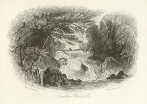 Cascade Swallow, près de Betws-y-Coed, nord du Pays de Galles - English School