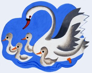 Cygne et cygneaux