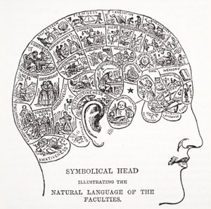Tête symbolique montrant le langage naturel des facultés - English School