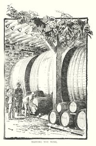 Dégustation du vin (gravure) - English School