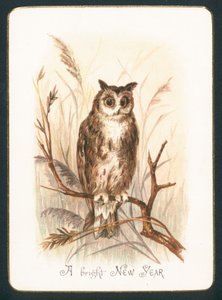 Chouette hulotte, Carte de Nouvel An - English School