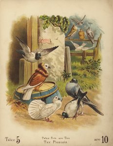 Dix pigeons (chromolitho)