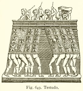 Testudo - English School