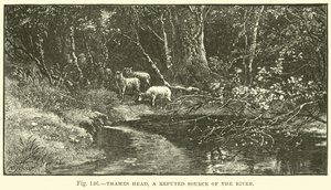 Source de la Tamise, une source réputée de la rivière - English School