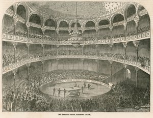Le cirque américain au Palais de l