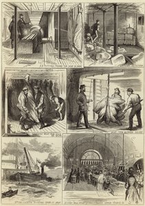 Le commerce de viande fraîche américaine de Glasgow et Londres - English School