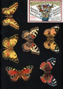 Les Papillons Animés, Amusants, Décoratifs et Éducatifs, Une Nouveauté Étonnante et Réaliste - English School