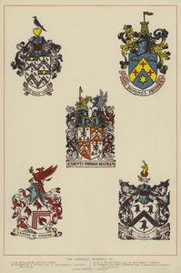 Les armoiries (lithographie couleur) - English School