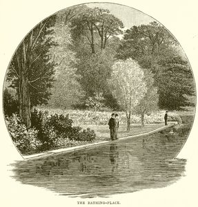 Le lieu de baignade - English School